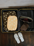 Mini Packing Cube (Polka Dot Lemon)