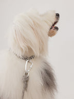 Pet Collar (Rum)
