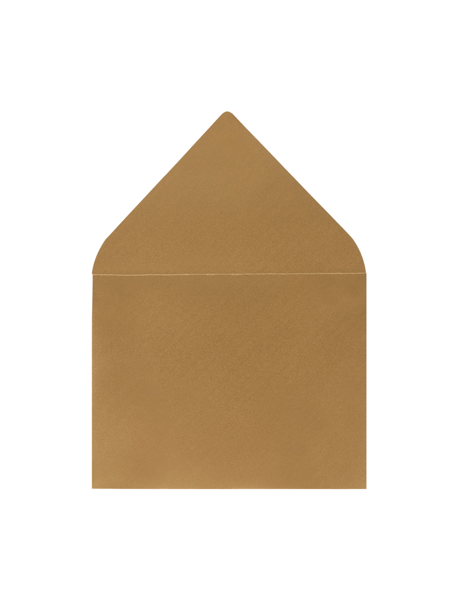 Welcome To The World Greeting Card (Long Neck)