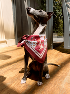 Silk Bandana