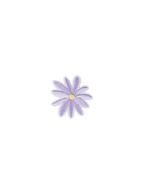 Lilac Wildflower Patch