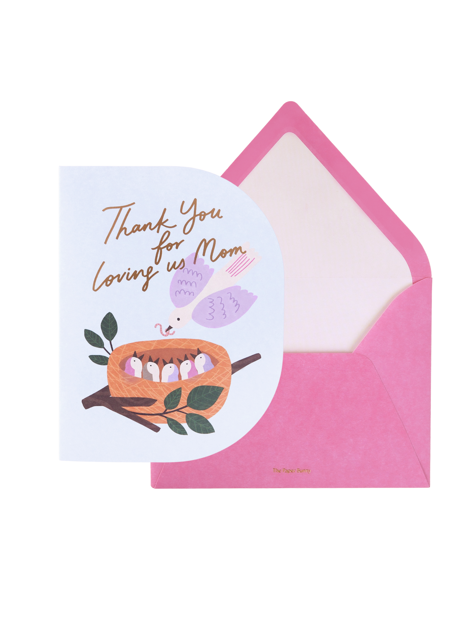 Mama Bird Greeting Card