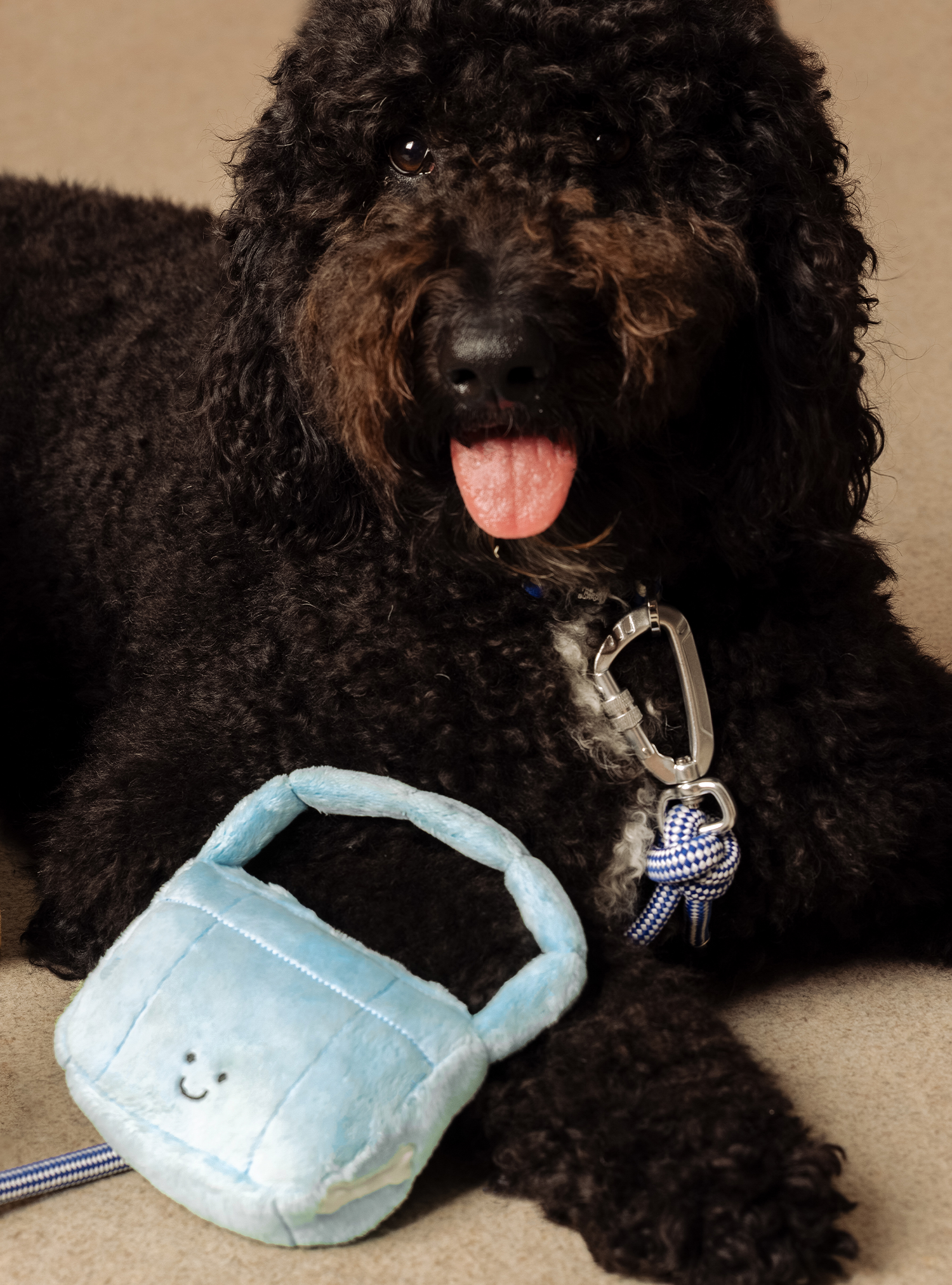 Pet Plushie (Bluebell)