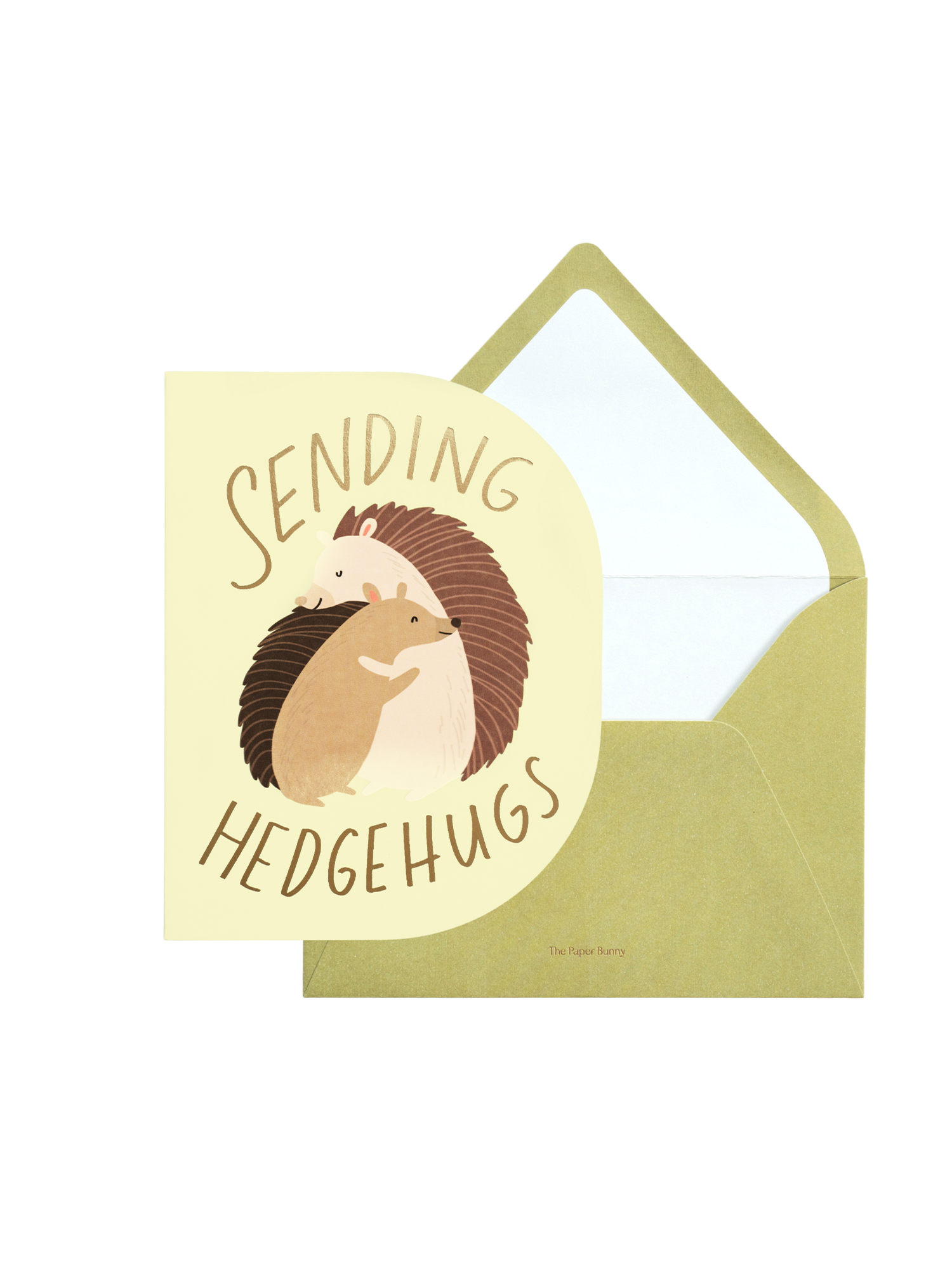 Sending Hugs Hedgehog Greeting Card
