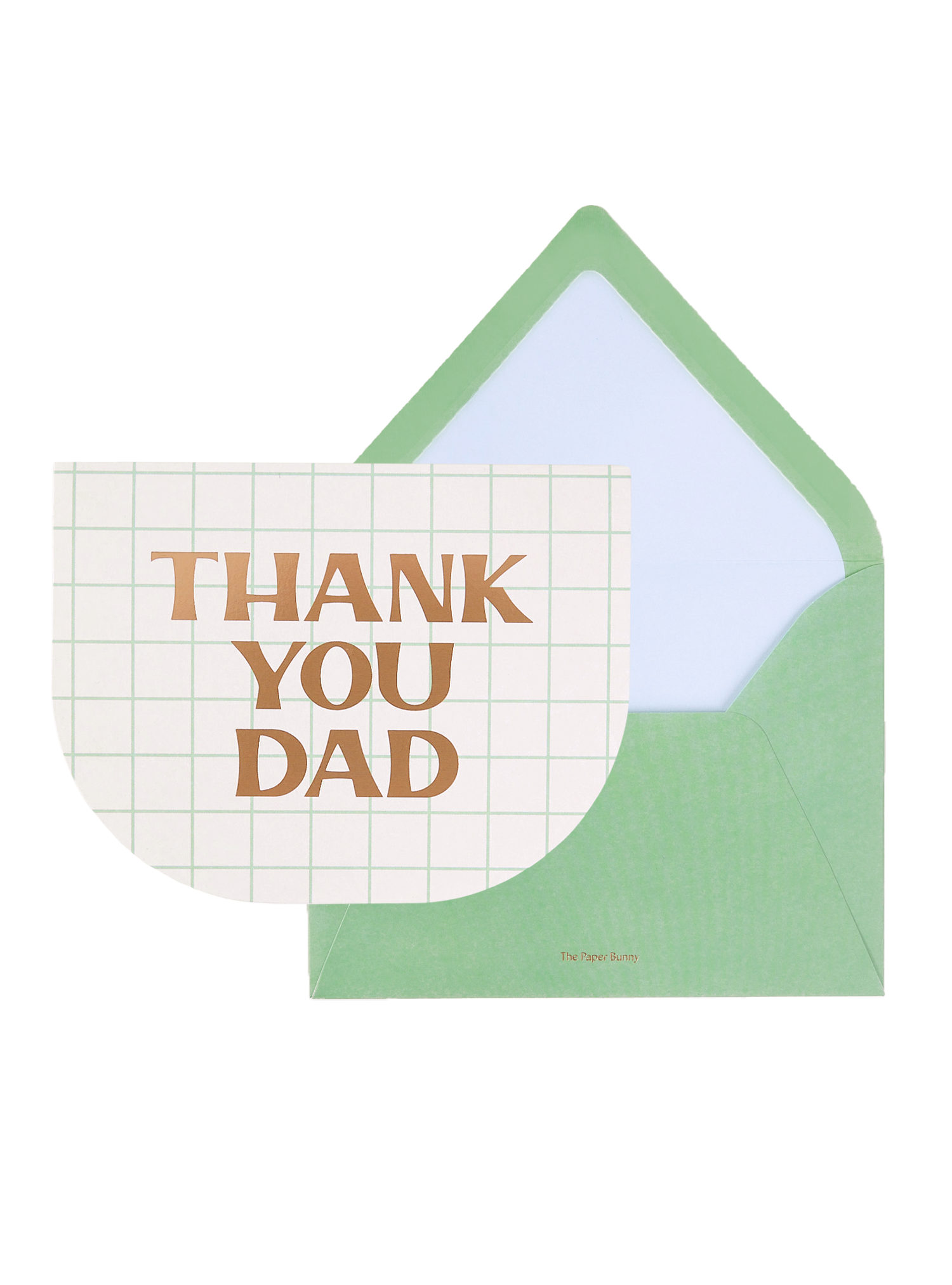 Thank You Dad Greeting Card