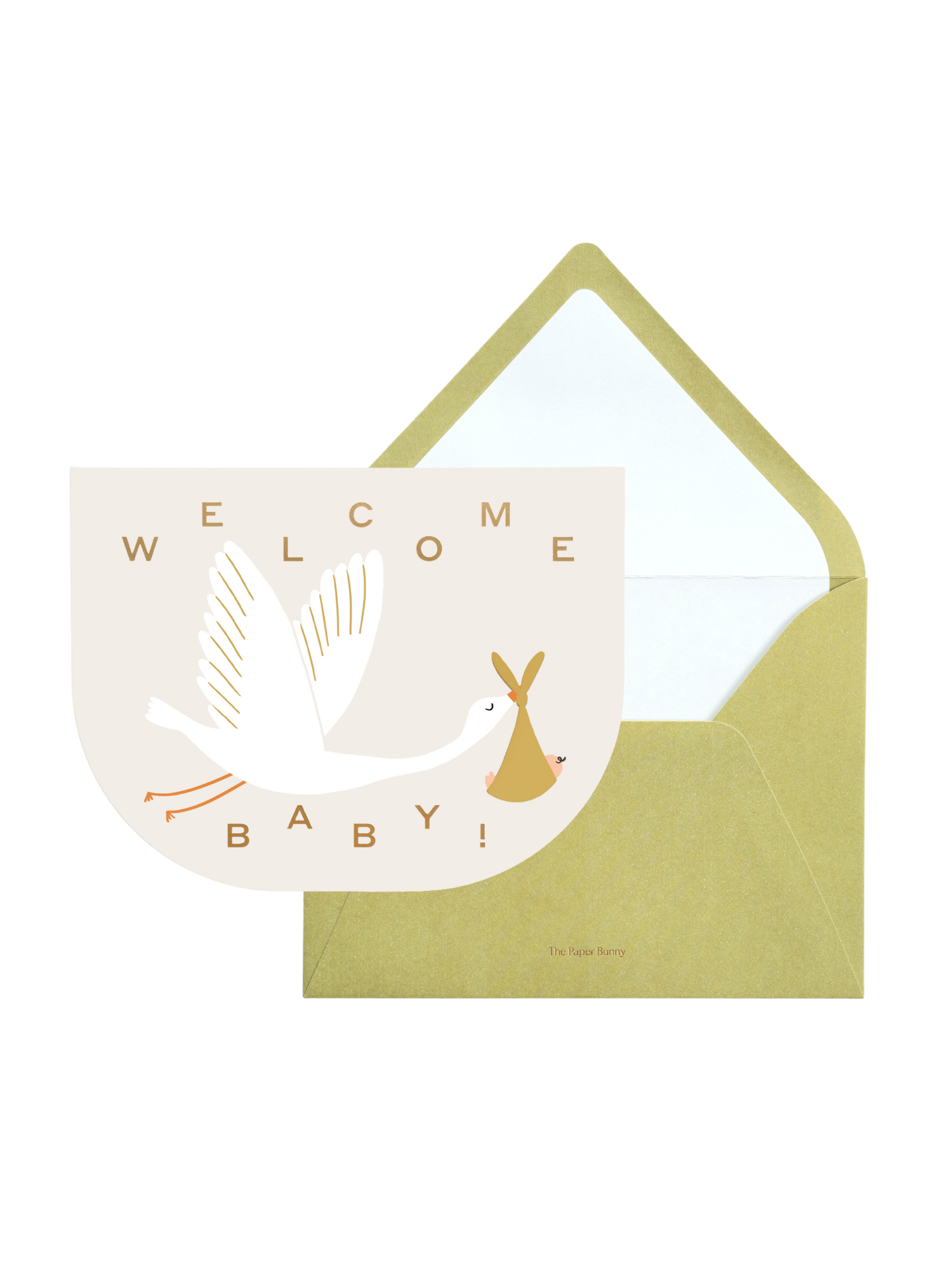 Welcome Baby Stork Greeting Card